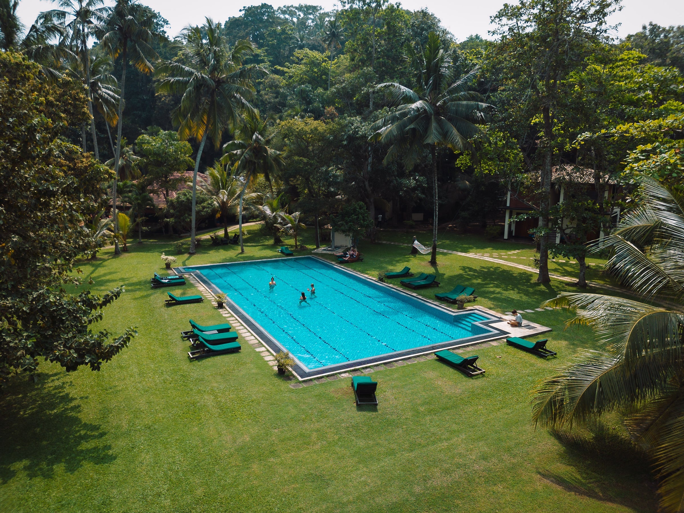 Pool surrounded by palm trees and lawn at the Sri Lanka yoga retreat in Talalla