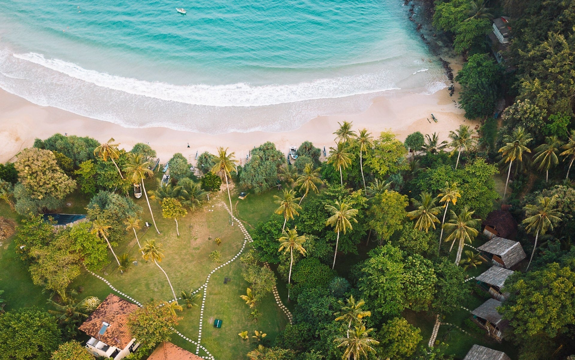 Aerial view of palm trees meeting a curved turquoise beach at Talalla, Sri Lanka