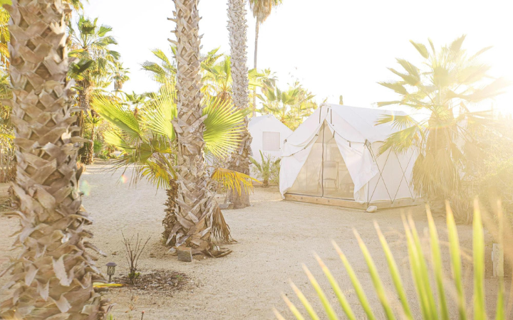 Baja, Mexico. A Journey To The Source