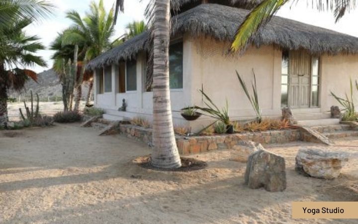 Baja, Mexico. A Journey To The Source