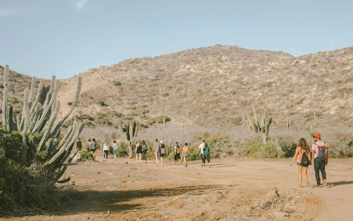 Baja, Mexico. A Journey To The Source