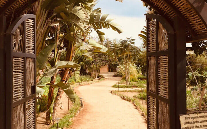 Mana Yoga Retreats - Baja, Mexico. A Journey To The Source